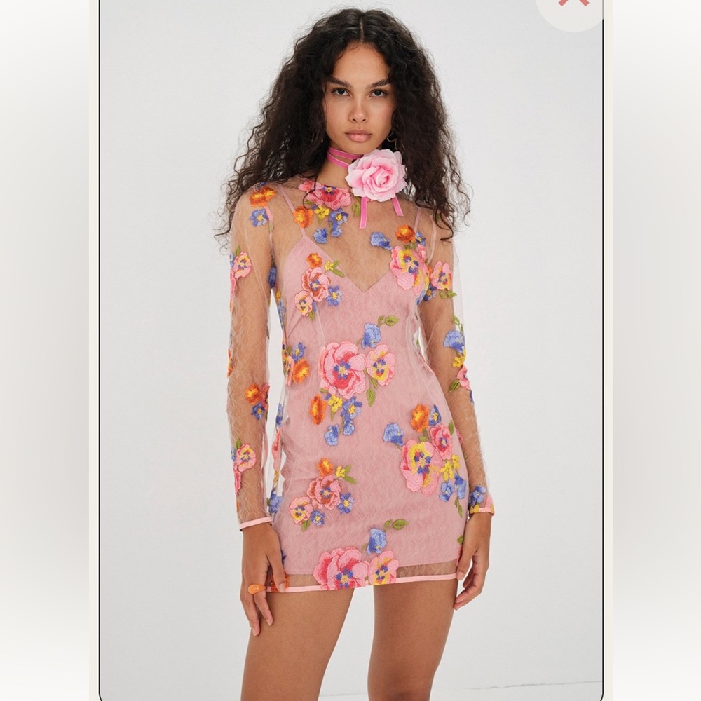 For Love And Lemons Percy sheer embroidered mini dress size XS
